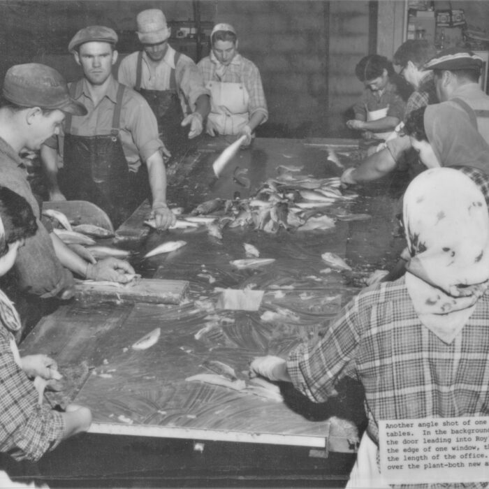Filleting Tables at Booth Fisheries, 1934-1935, Booth Fisheries Black and white photo of a group of people working at a table filleting fish