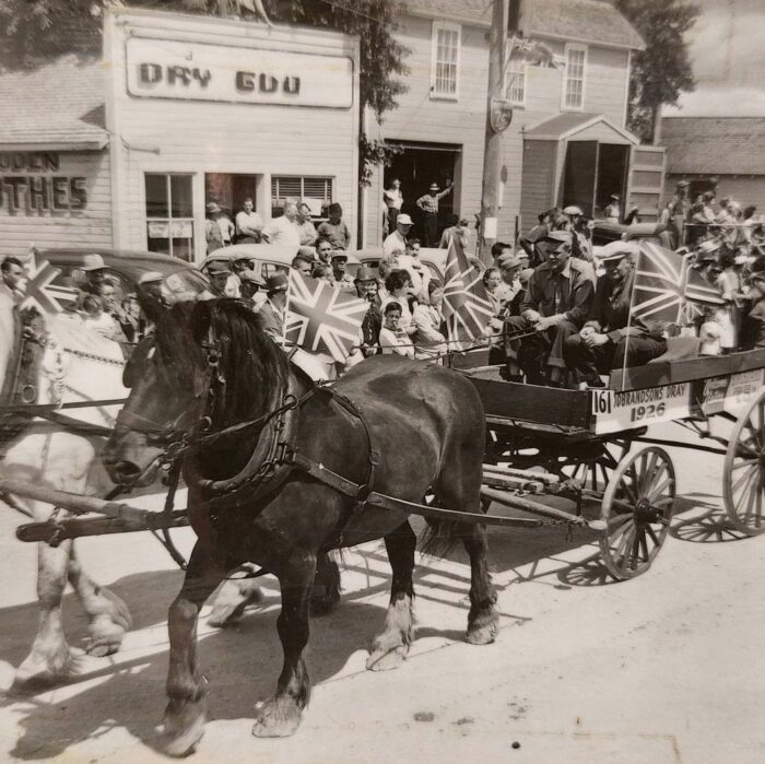 Selkirks 75th Parade Goodbrandson's Dray, 1957, Selkirk Museum Collection Black and white photo of a horse and buggy driving down the street. The horse on the left is white and the horse on the left is dark coloured