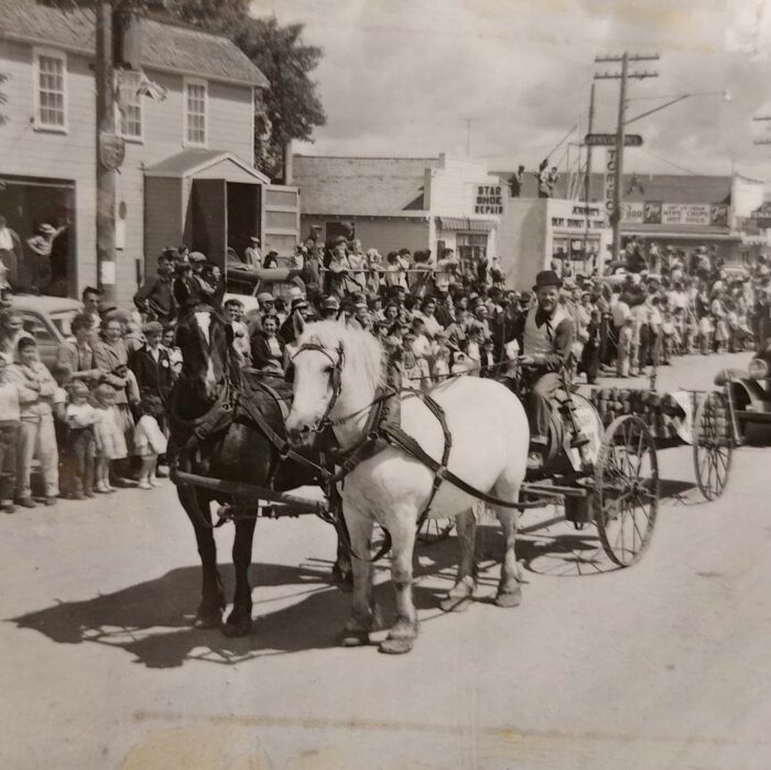 Selkirks 75th Parade Horse and Buggy, 1957, Selkirk Museum Collection Black and white coloured photo of a horse and buggy driving down the street. There is a crowd of people in the background