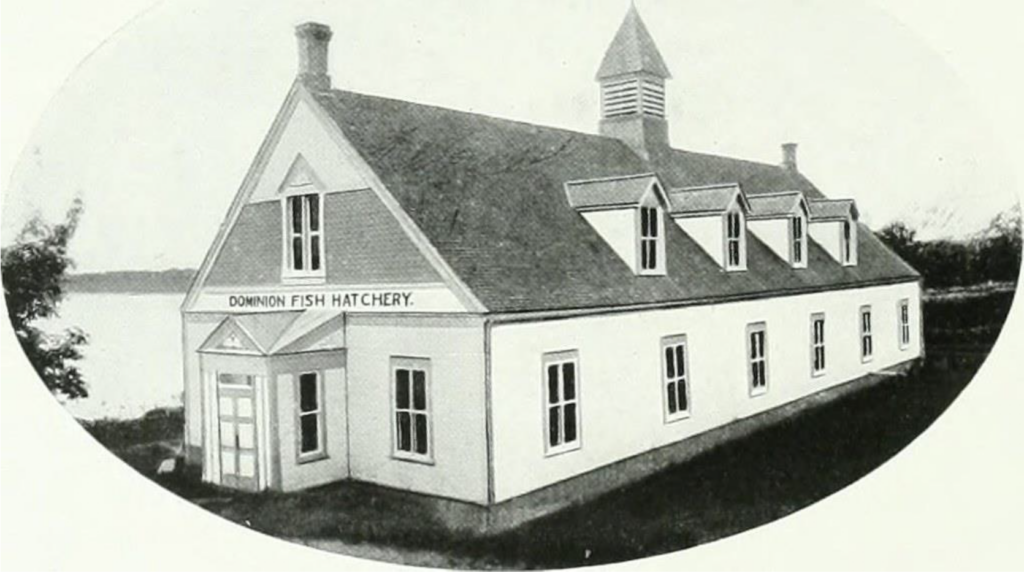 Black and white photo of a large white building with a grey roof. There are windows around the main floor and four dormers in the roof. There is a cupola at center of the roof.